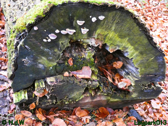 16 &amp; 17 &amp; 18 &amp; 19 december 2024