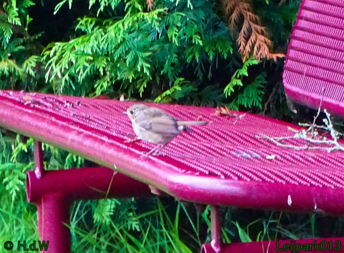 29 &amp; 30 &amp; 31 juli &amp; 1 augustus 2024