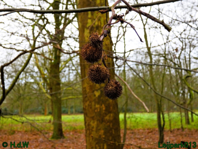 9 &amp; 10 &amp; 11 &amp; 12 januari 2025