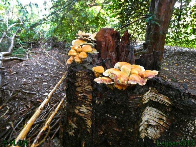 21 &amp; 22 &amp; 23 &amp; 24 oktober 2024