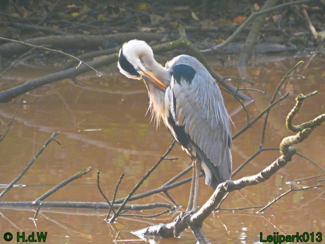 18 &amp; 19 &amp; 20 &amp; 21 november 2024