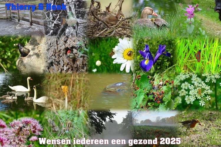 beste wensen voor 2025