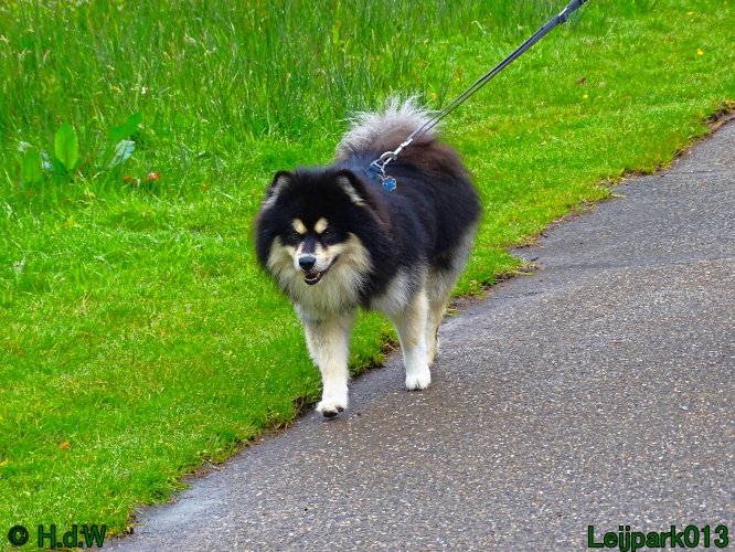Beestenboel 12 mei 2024