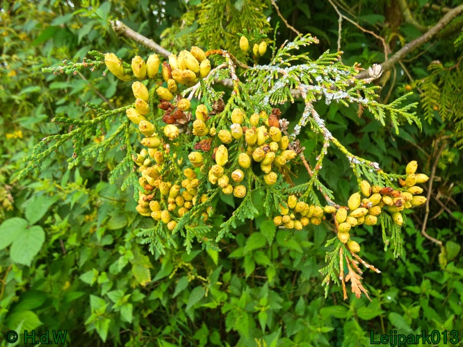 10 &amp; 11 &amp; 12 &amp; 13 augustus 2024