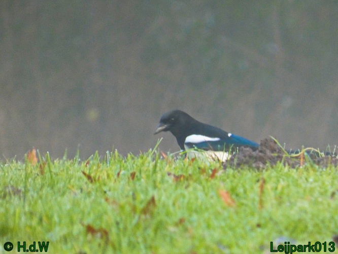 1 &amp; 2 &amp; 3 &amp; 4 januari 2025