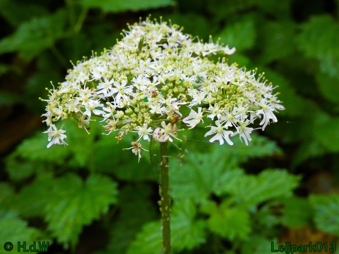 2 &amp; 3 &amp; 4 &amp; 5 November 2024