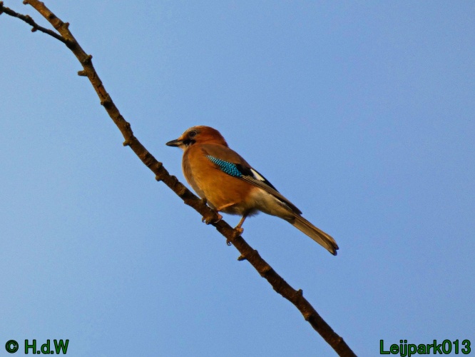 21 &amp; 22 &amp; 23 &amp; 24 oktober 2024