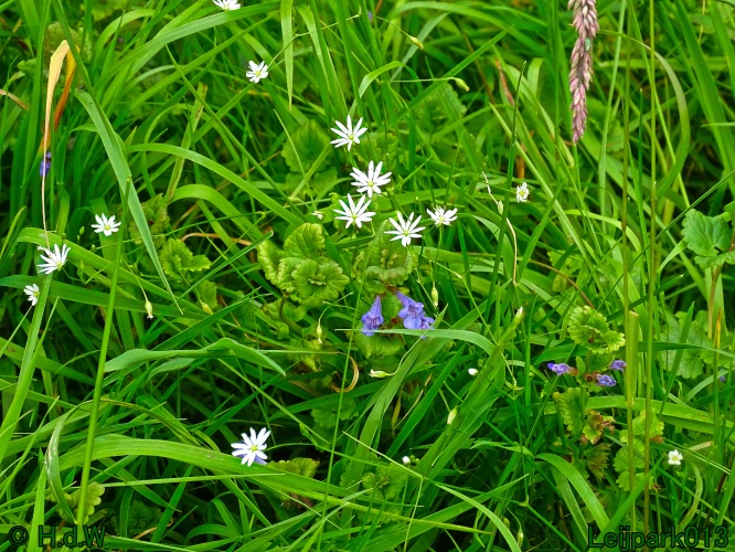 11 &amp; 12 &amp; 13 &amp; 14 juni 2024