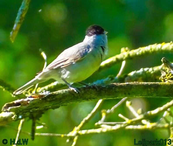 11 &amp; 12 &amp; 13 &amp; 14 juni 2024