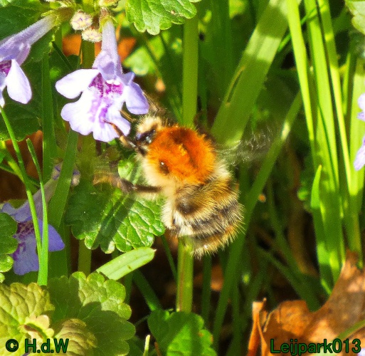 19 &amp; 20 &amp; 21 &amp; 22 maart 2025