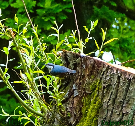 30 april 1 &amp; 2 &amp; 3 mei 2024