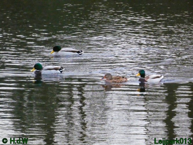 20 &amp; 21 &amp; 22 &amp; 23 december 2024