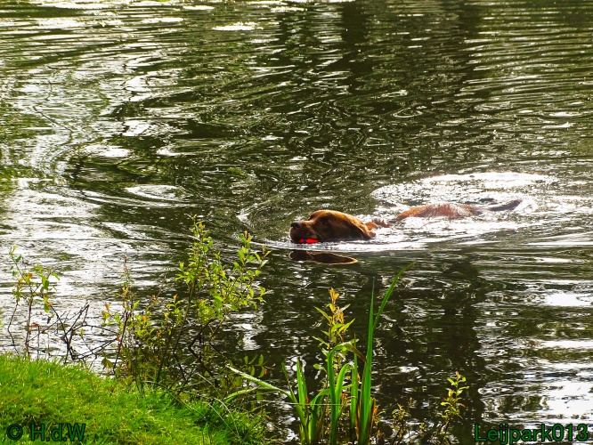 Beestenboel 12 mei 2024