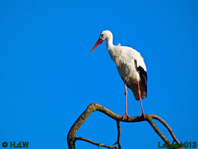 3 &amp; 4 &amp; 5 &amp; 6 april 2025