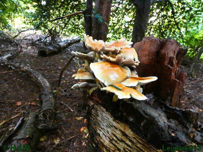 21 &amp; 22 &amp; 23 &amp; 24 oktober 2024