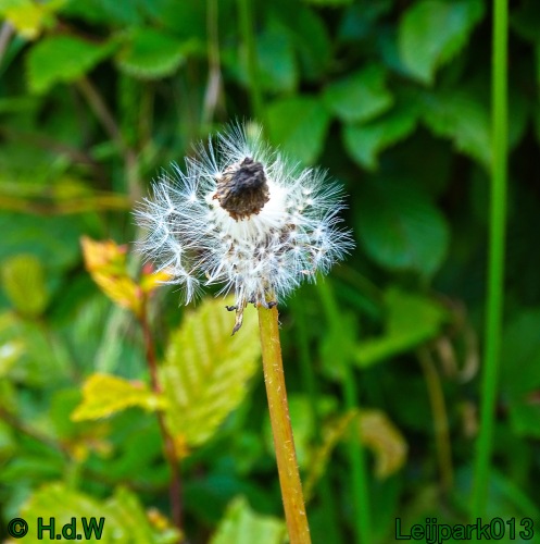 11 &amp; 12 &amp; 13 &amp; 14 juni 2024