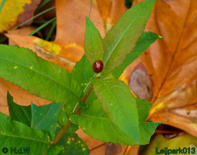 1 &amp; 2 &amp; 3 &amp; 4 oktober 2025