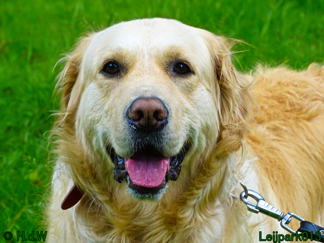 Beestenboel 7 juni 2024