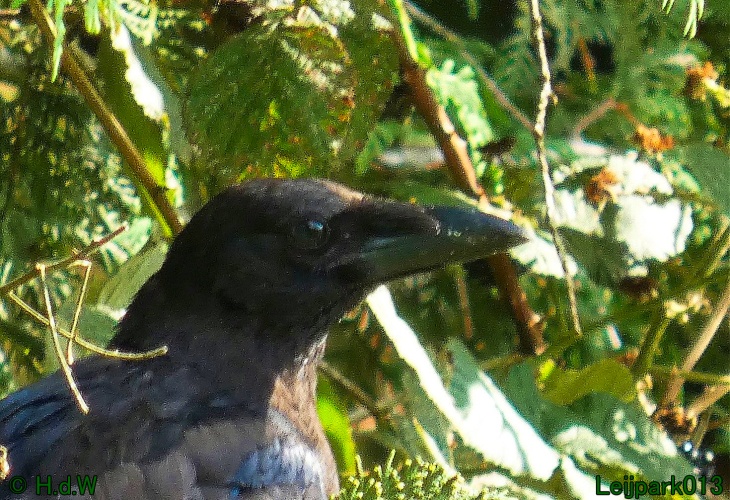 22 &amp; 23 &amp; 24 &amp; 25 augustus 2024