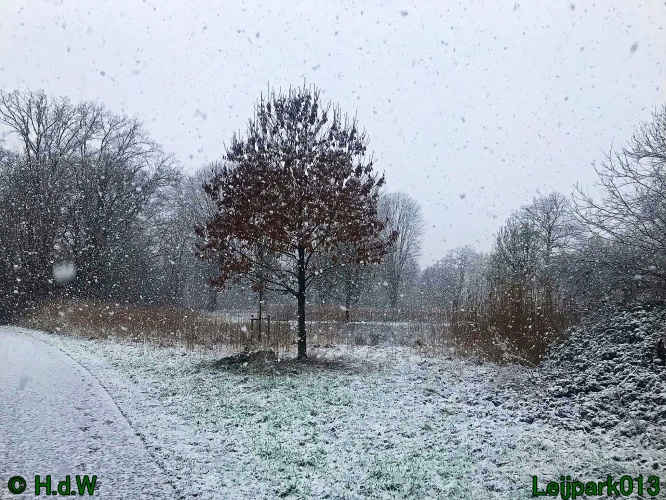 9 &amp; 10 &amp; 11 &amp; 12 januari 2025