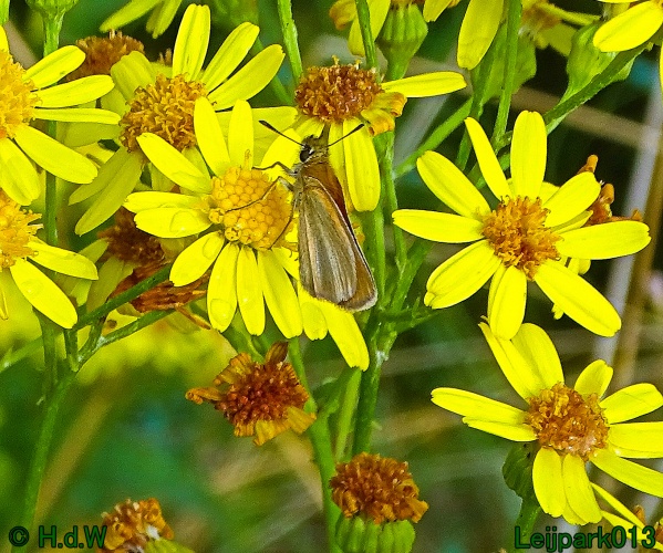 25 &amp; 26 &amp; 27 &amp; 28 juli 2024