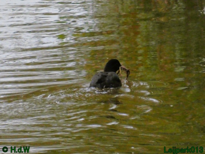 10 &amp; 11 &amp; 12 &amp; 13 november 2024