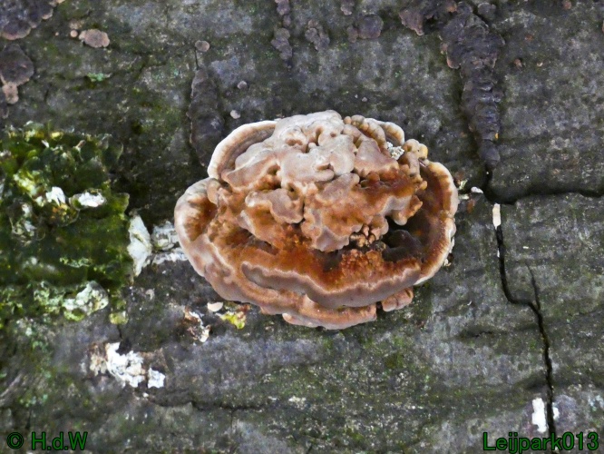 1 &amp; 2 &amp; 3 &amp; 4 oktober 2025