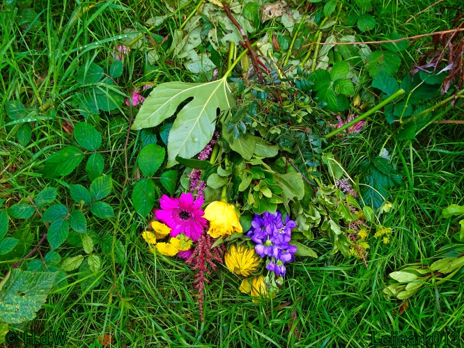 5 &amp; 6 &amp; 7 &amp; 8 juli 2024