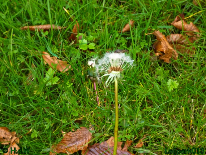 1 &amp; 2 &amp; 3 &amp; 4 oktober 2025