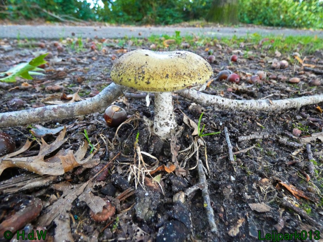 1 &amp; 2 &amp; 3 &amp; 4 oktober 2024