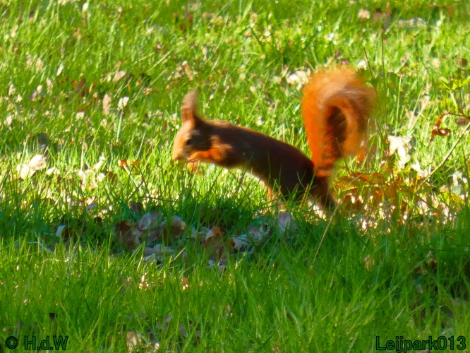 3 &amp; 4 &amp; 5 &amp; 6 april 2025