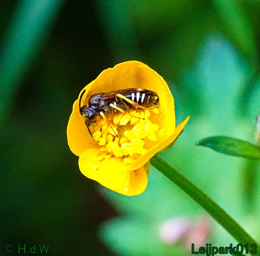 30 april 1 &amp; 2 &amp; 3 mei 2024