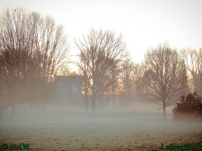 13 januari Mist en zon