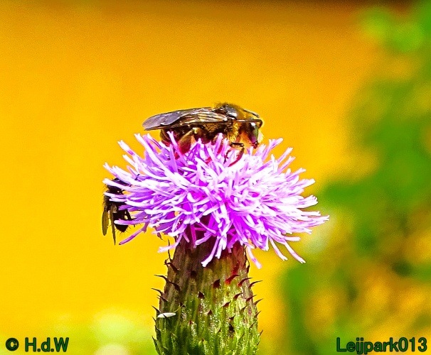 9 &amp; 10 &amp; 11 &amp; 12 juli 2024