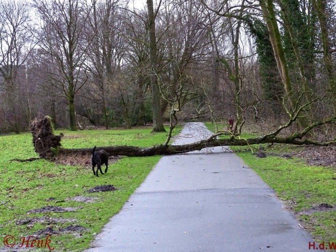 Storm terug in de tijd
