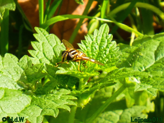 21 &amp; 22 &amp; 23 &amp; 24 oktober 2024