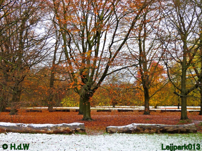 18 &amp; 19 &amp; 20 &amp; 21 november 2024