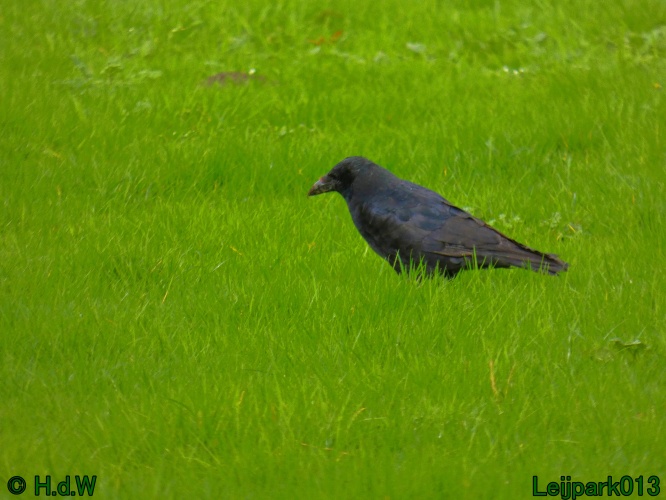 28 &amp; 29 &amp; 30 &amp; 31 oktober 2025