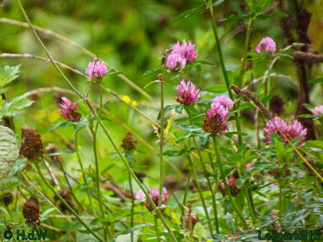 21 &amp; 22 &amp; 23 &amp; 24 oktober 2024