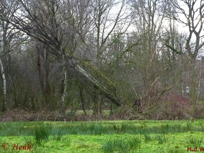 Storm terug in de tijd