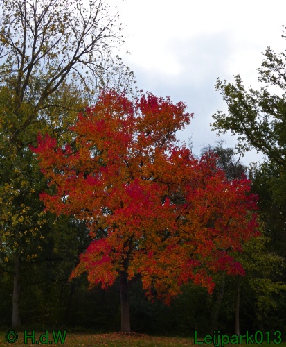 1 &amp; 2 &amp; 3 &amp; 4 oktober 2025