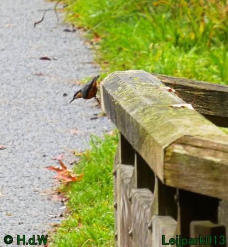 2 &amp; 3 &amp; 4 &amp; 5 November 2024