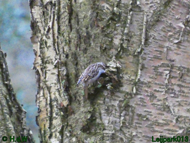 21 &amp; 22 &amp; 23 &amp; 24 januari 2025