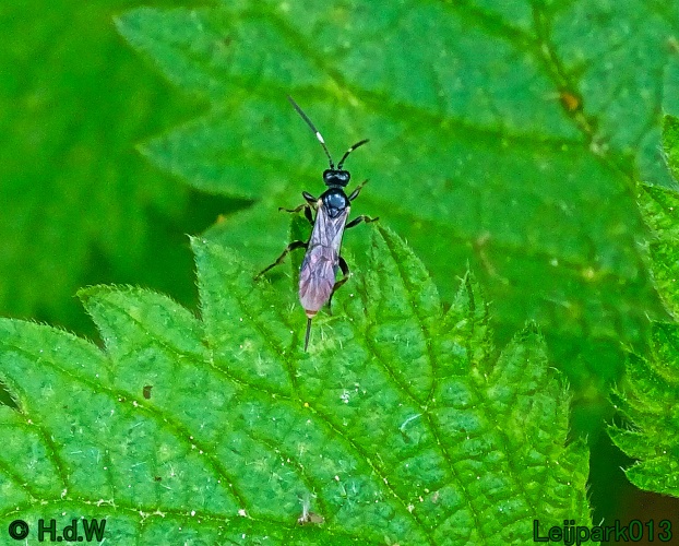 30 april 1 &amp; 2 &amp; 3 mei 2024