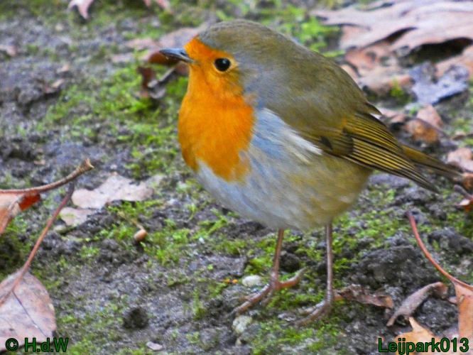 10 &amp; 11 &amp; 12 &amp; 13 november 2024