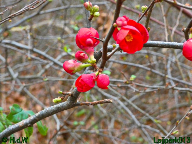 20 &amp; 21 &amp; 22 &amp; 23 december 2024