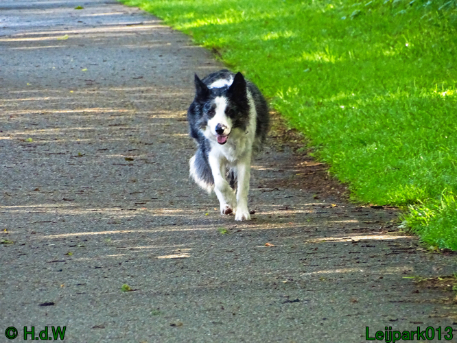 Beestenboel 7 juni 2024