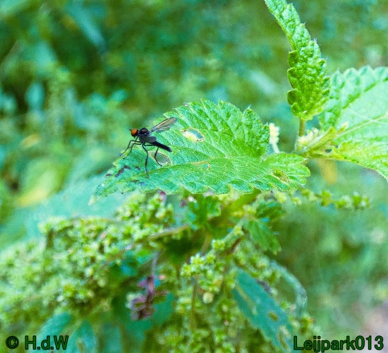 22 &amp; 23 &amp; 24 &amp; 25 augustus 2024