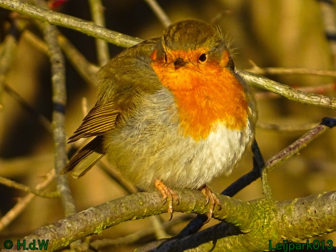 21 &amp; 22 &amp; 23 &amp; 24 oktober 2024