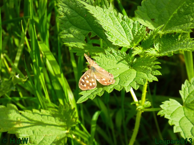 21 &amp; 22 &amp; 23 &amp; 24 oktober 2024